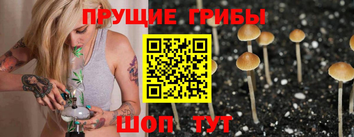 Галлюциногенные грибы GOLDEN TEACHER Ульяновск